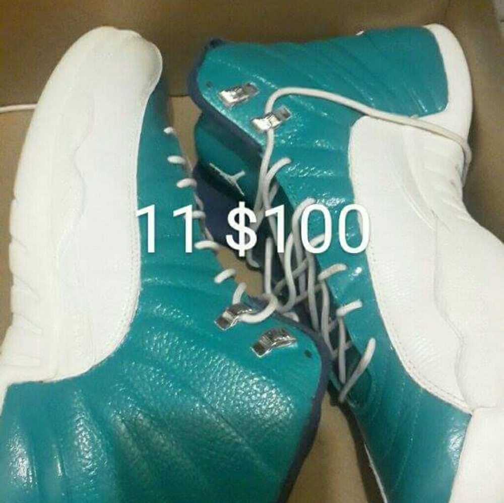 Custom  air jordan 12s